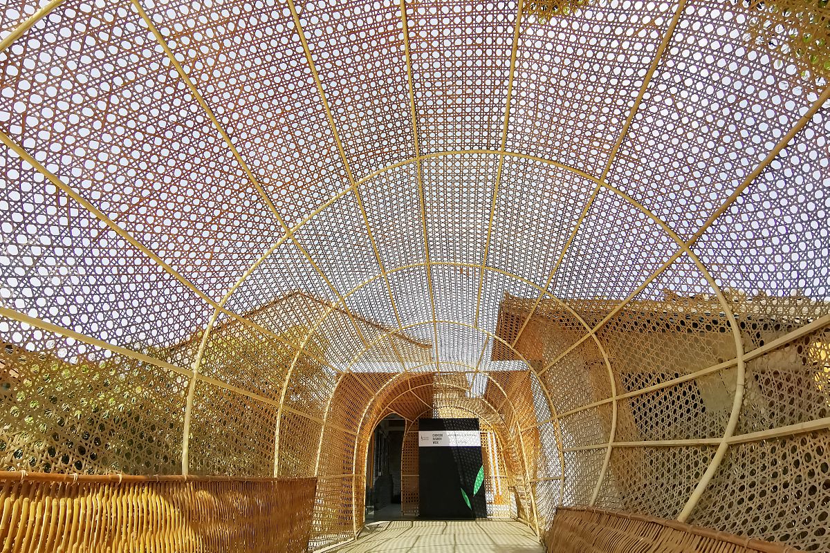 蒲草编织展厅设计灵感：自然、海洋、现代、文化和艺术主题