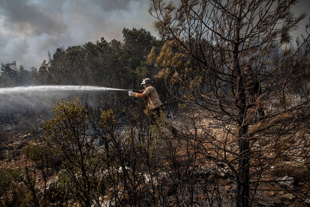 昆明市林业技工学校2022年林业专业招生简章