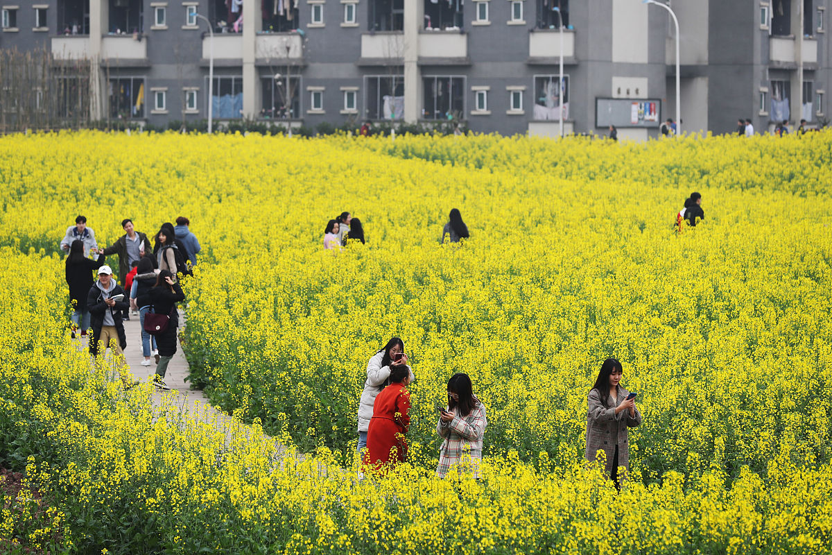山东商务职业学院审计专业：就业前景好，好学吗？
