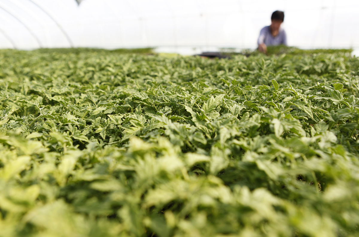 四川凉山州农业学校办学特色？