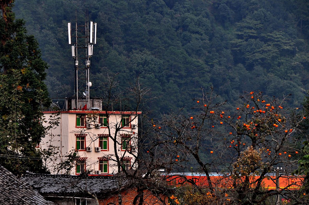 四川政府采购网网址