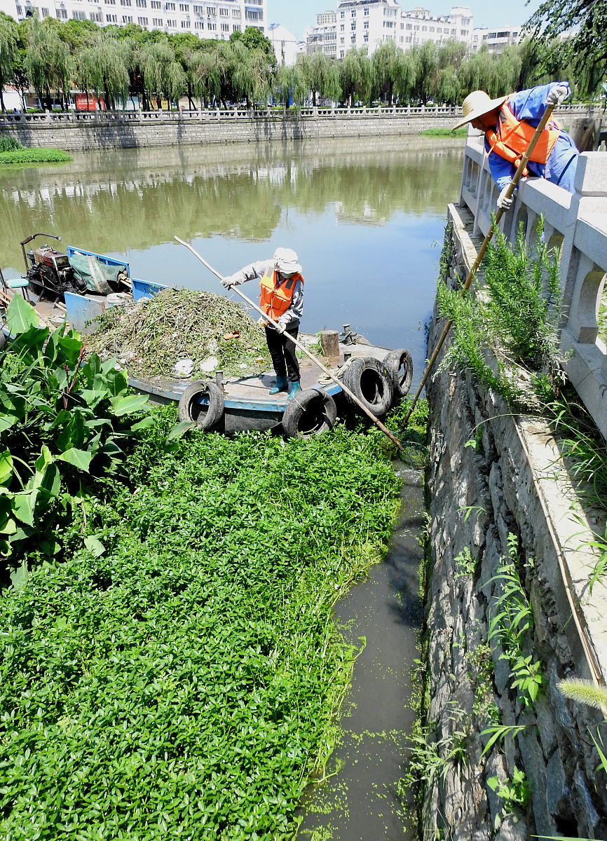 从社会工作参与、智慧化监管、完善问责机制等方面总结西宁市河长制建设经验800字