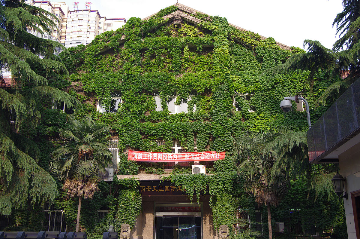 成都希望卫生学校是专科还是本科？解答招生疑问！