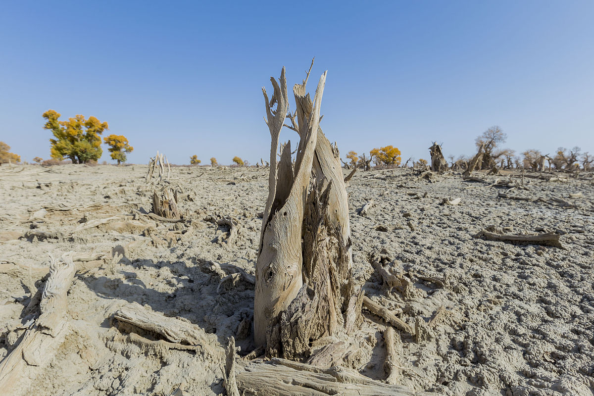 新疆南北自然灾害差异