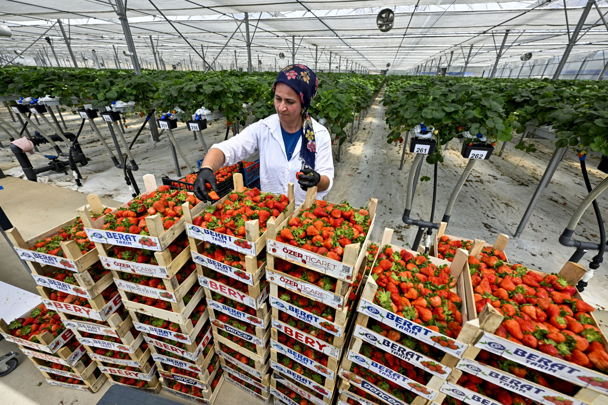 邮银协同助农发展：支行为谢屯镇大屯村和土城乡温家村提供近900万元信贷支持