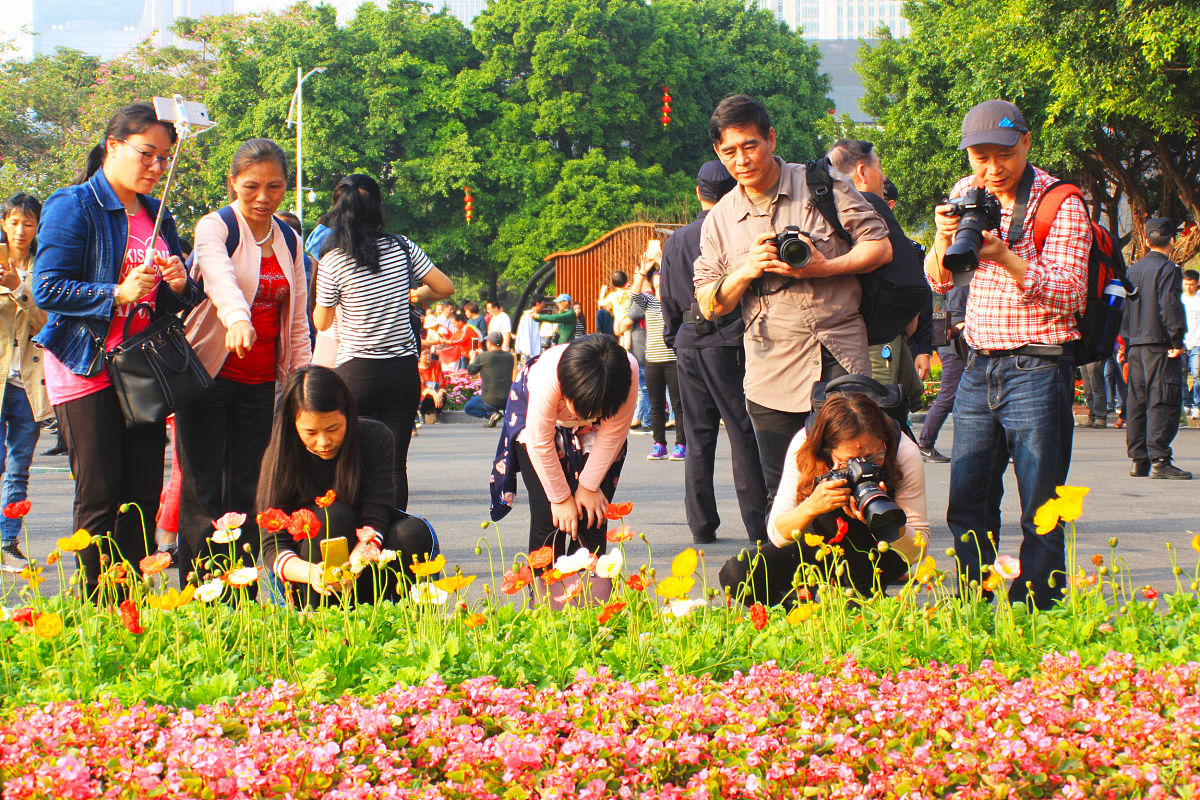 成都五月花高级技工学校举办312植树节活动，师生齐心共植绿荫