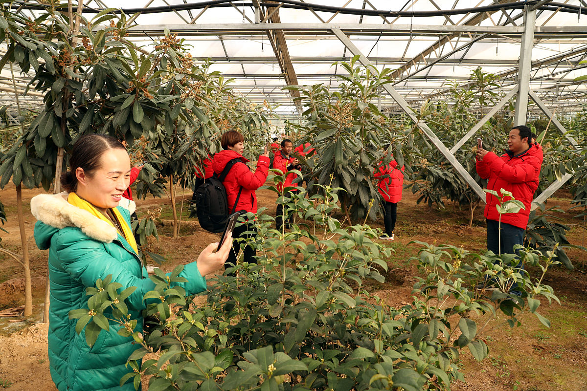 临洮农业学校2021年新增专业：现代农业技术、农产品质量与安全等