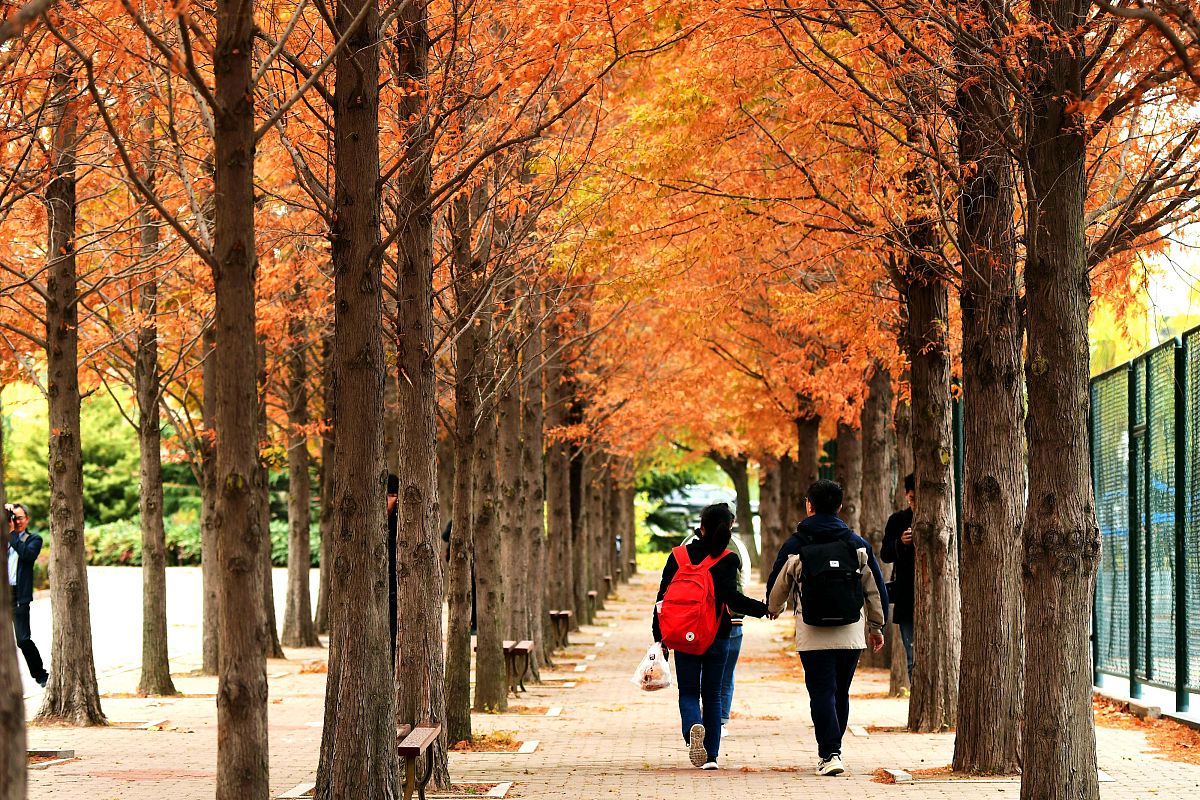 山东科技职业学院专业设置