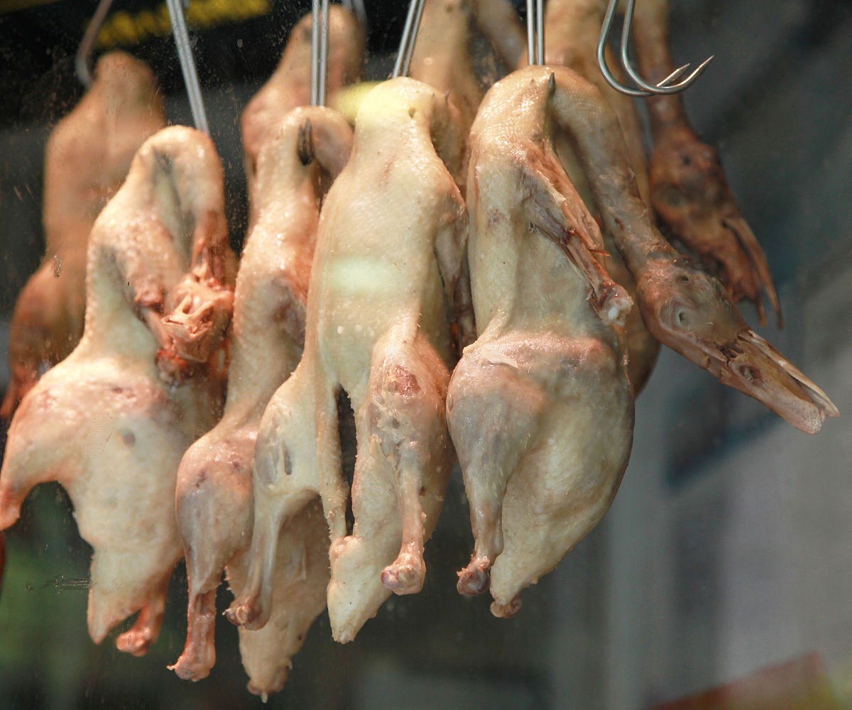 鸭食管营养价值丰富：促进健康，增强免疫力