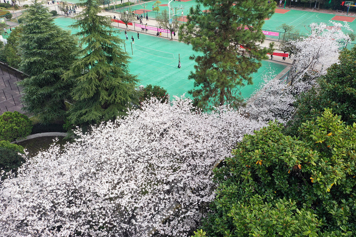 广东应用技工学校2022年招生简章 - 报考指南及录取条件