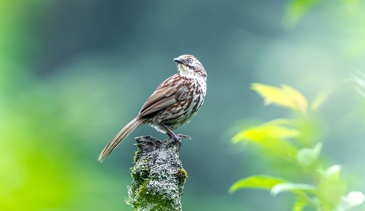 重庆农业学校农村电气技术专业：办学层次、课程设置和培养目标