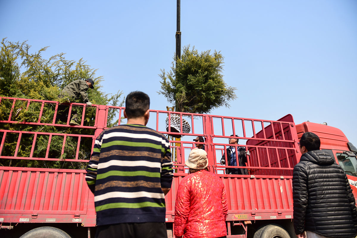 旅游管理专业硕士报考条件：学历、英语水平、实践经验及入学考试