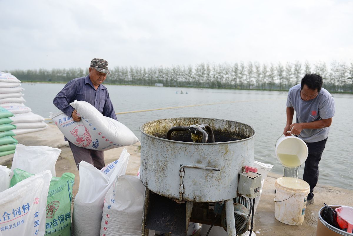 虾塘石灰消毒后再次进水需要用漂白粉消毒吗？
