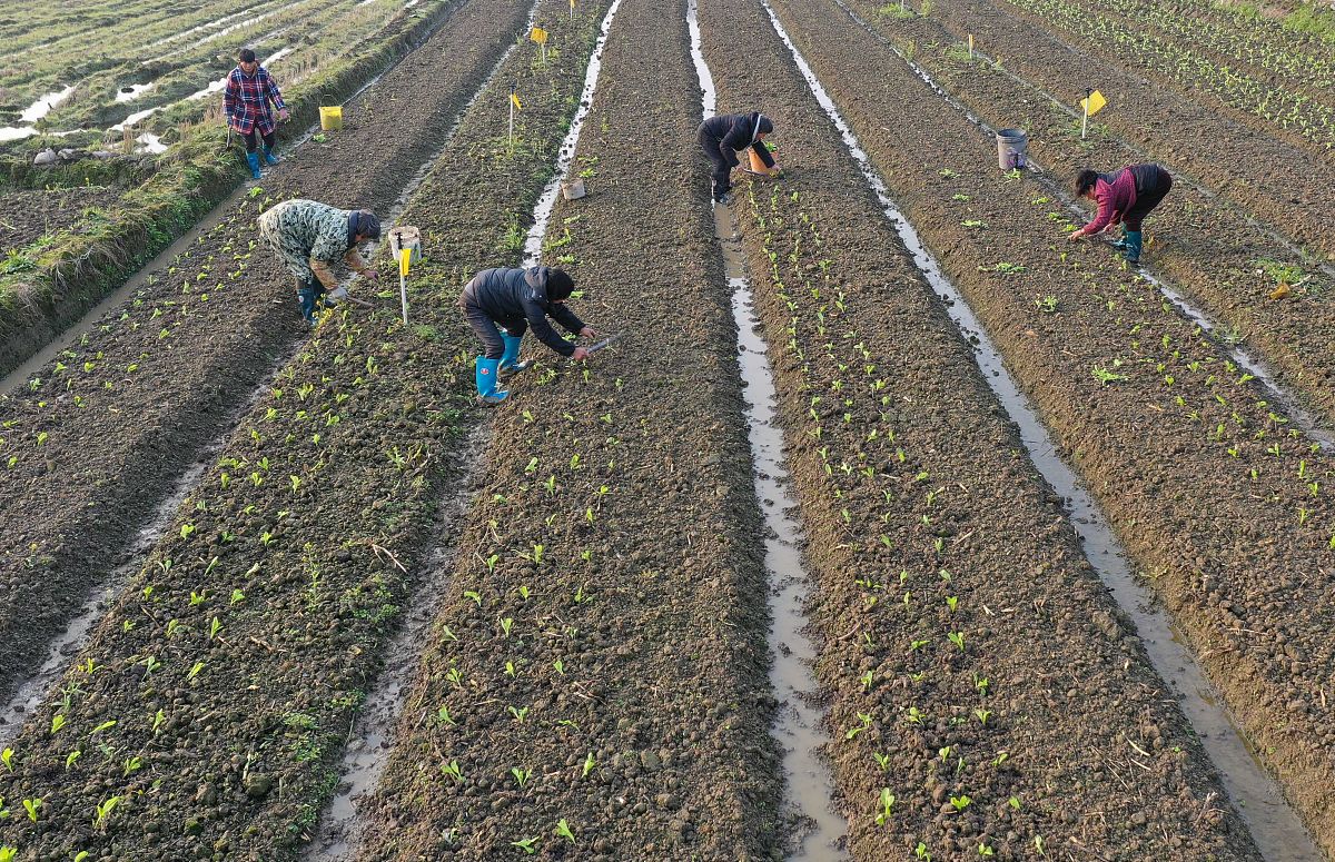 永州艺术设计学校2022年招生简章