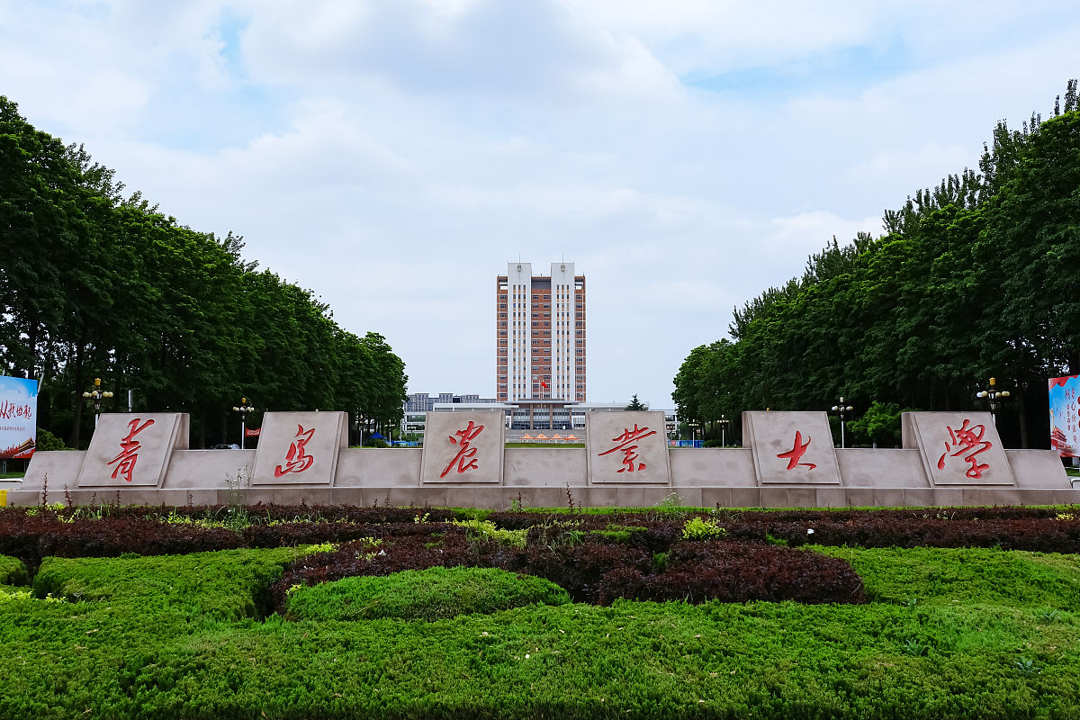 2020年06月13日,青岛,青岛农业大学.