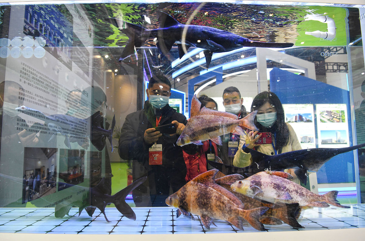 体积单位和面积单位哪个更大？