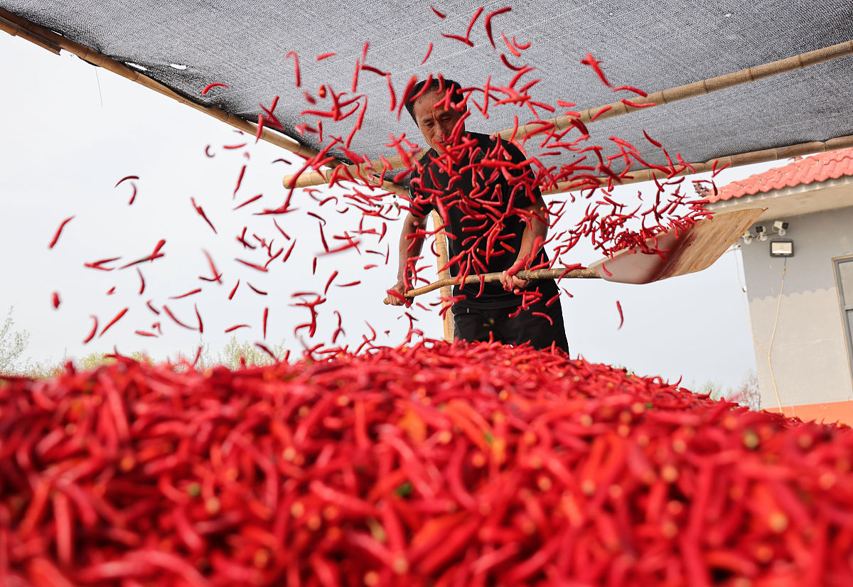 邢台工业学校2021年专业介绍：机械设计、数控、模具、电子信息等