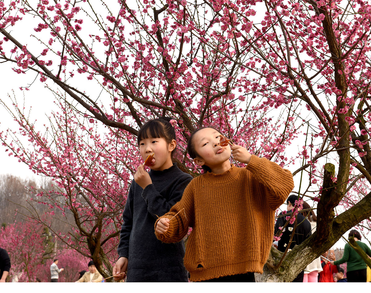 清明节有哪些习俗