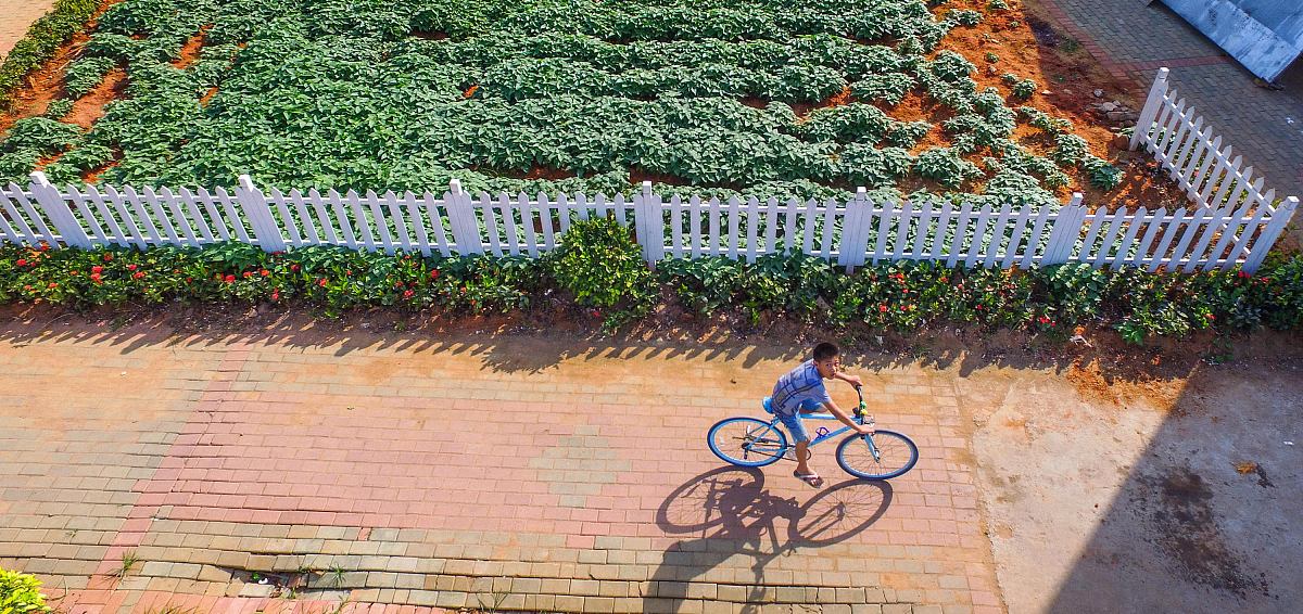 一句诗写出你向往的生活