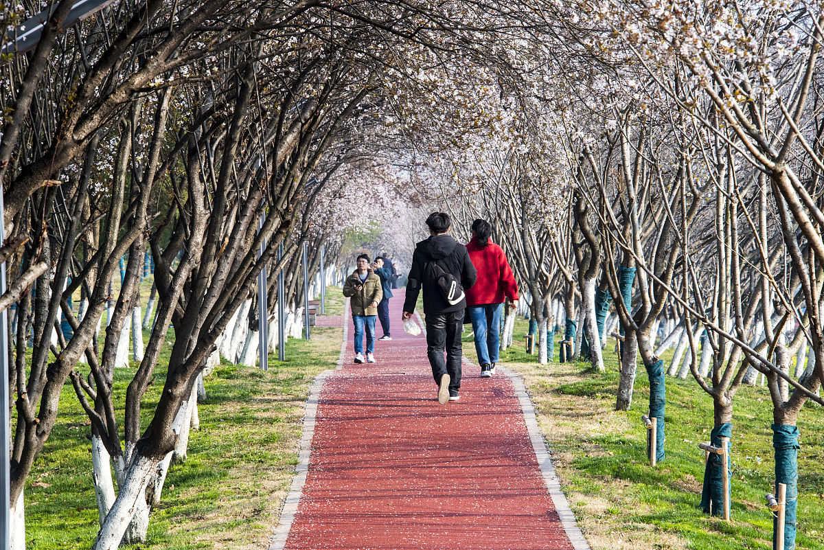 南京雨花区G50地块信息 - 用途规划及详细介绍