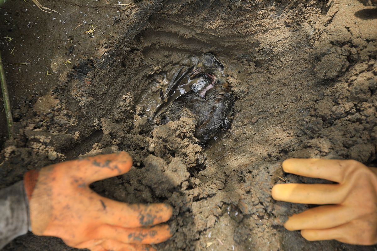 黑龙江农业经济职业学院健康管理专业专业可以选择哪些就业方向