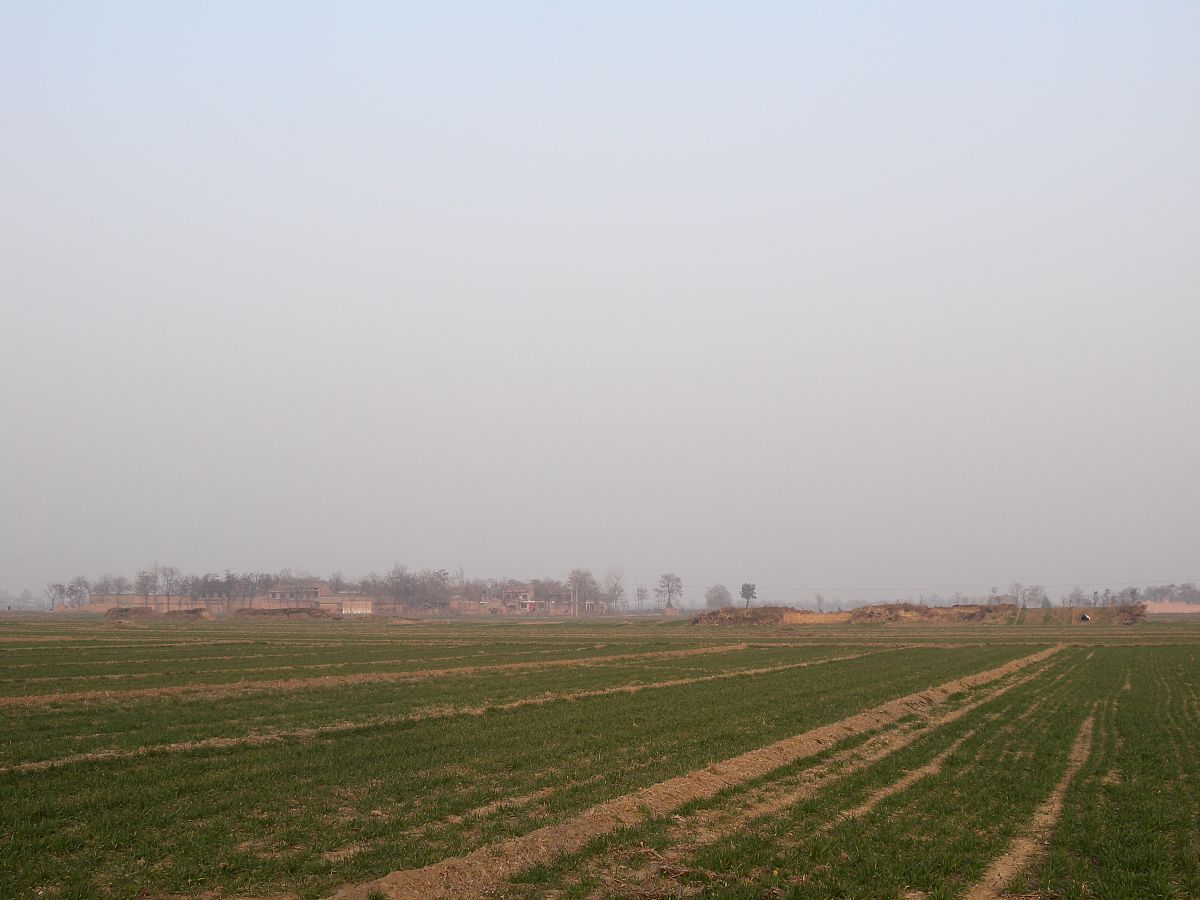 隋炀帝杨坚:开创盛世与覆灭的传奇 隋炀帝杨坚:开创盛世与覆灭的传奇