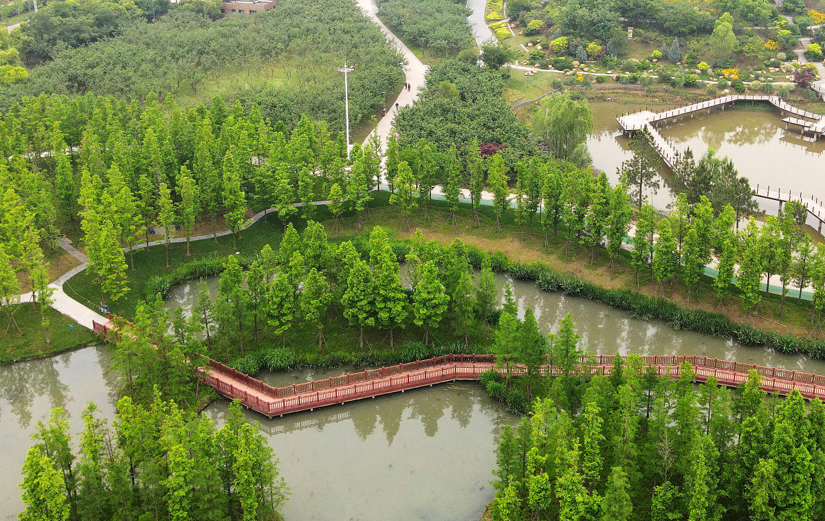 宜宾竹文化公园：生态补偿与文明建设的践行者