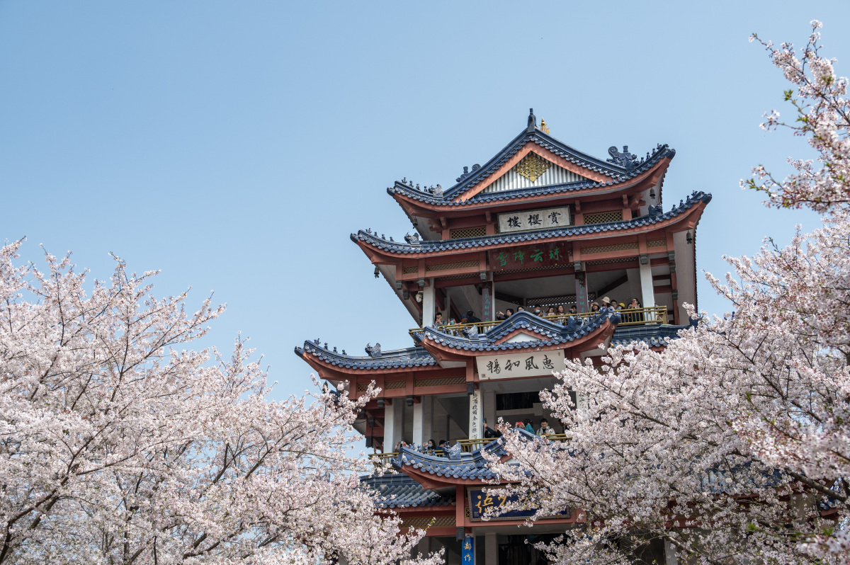 南京阅江楼之旅:历史与自然交相辉映