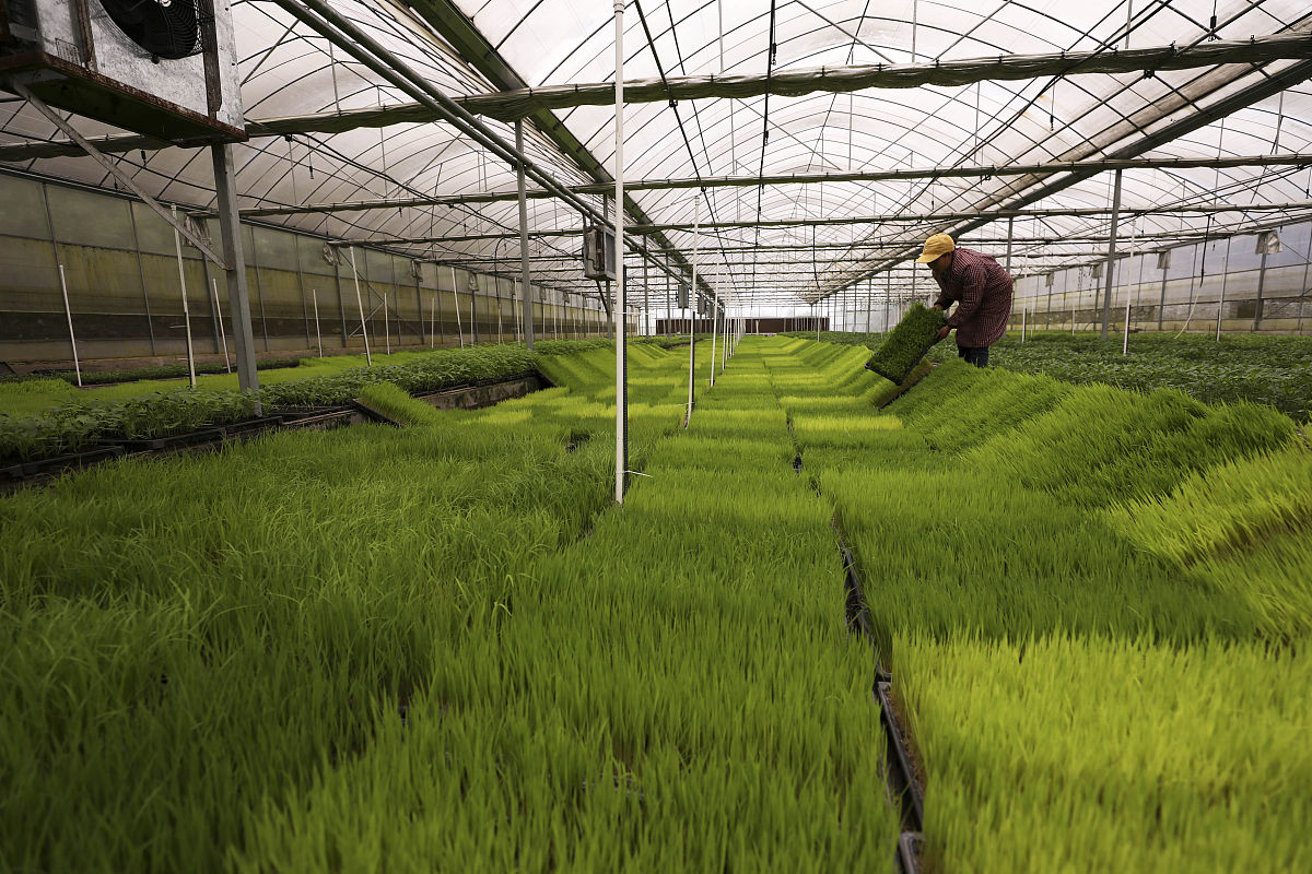 新时期农业技术创新推广的困境与对策