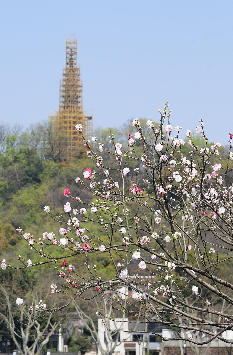 杭州西湖职业高级中学2022年招生办电话是多少好麽
