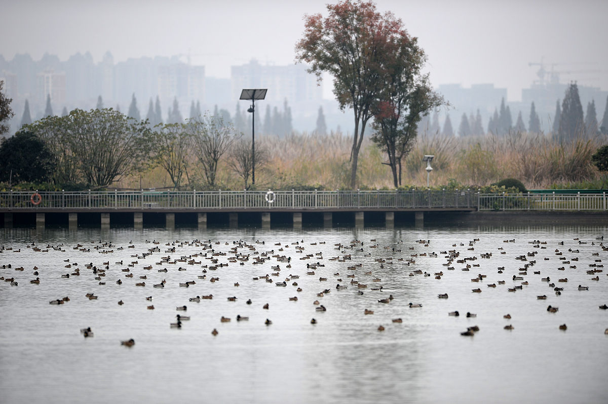 金堂城关中学地址及乘车路线 - 如何到达金堂城关中学