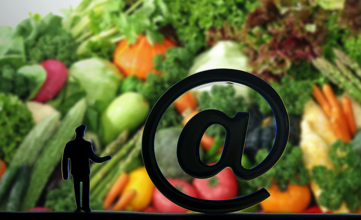 阜阳农业学校电子商务专业怎么样？培养目标+就业前景深度解析