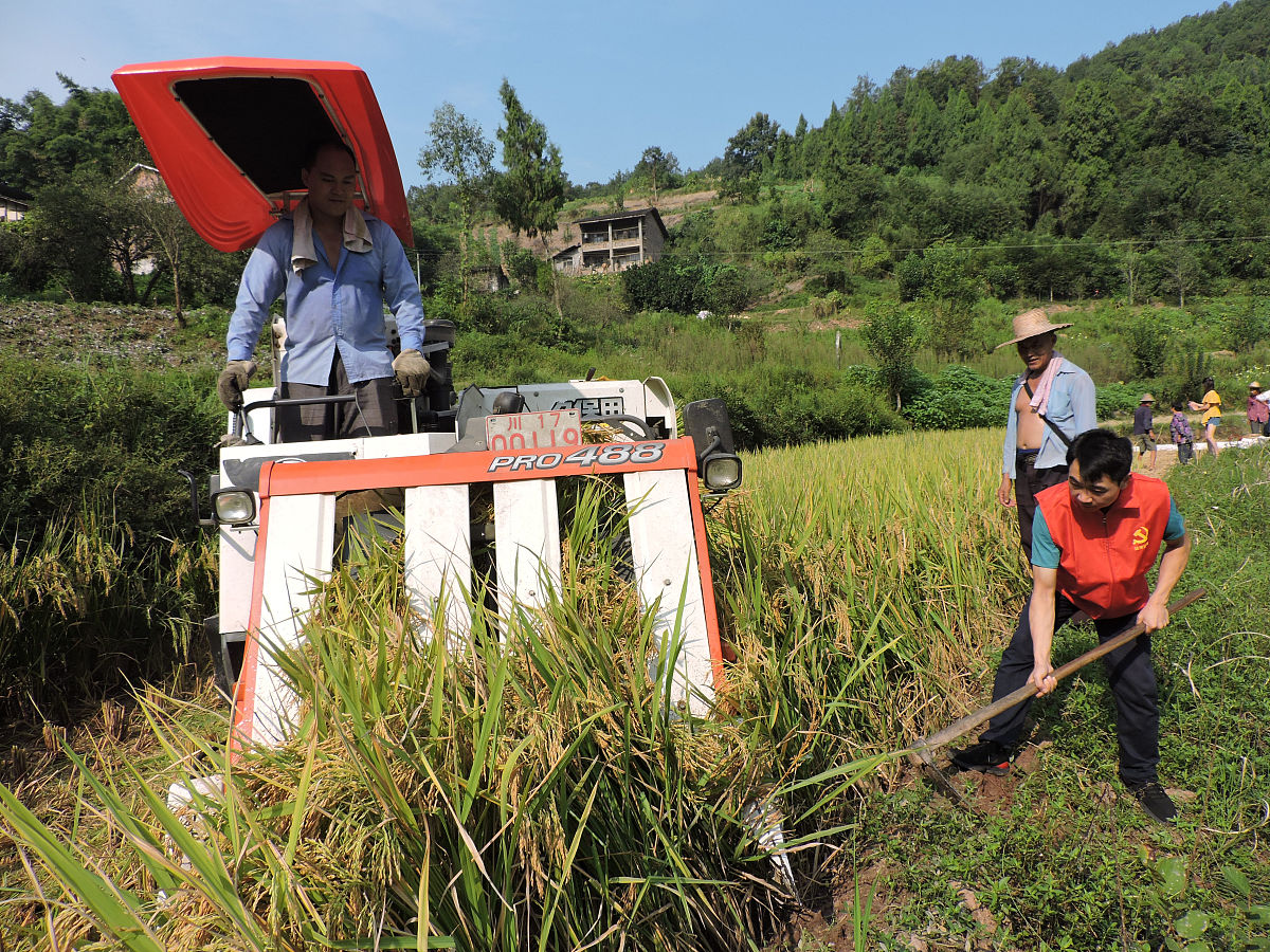 2019达州市高级职业学校招生简章 - 报名指南