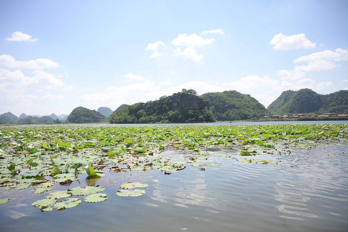 文山司法职业学校2021年招生条件 - 报考指南
