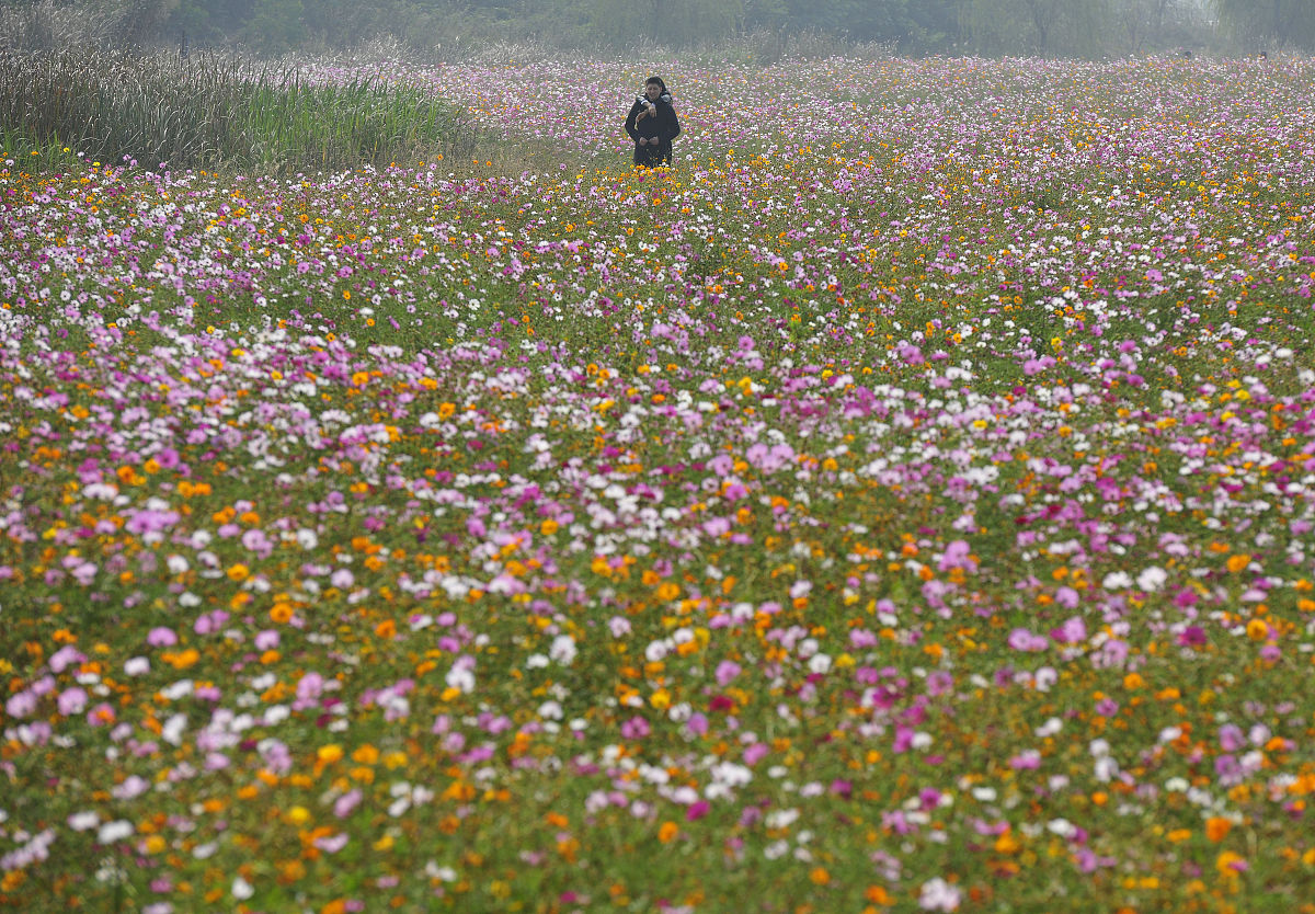 淳化职业教育中心2021年招生专业：热门专业就业前景广阔