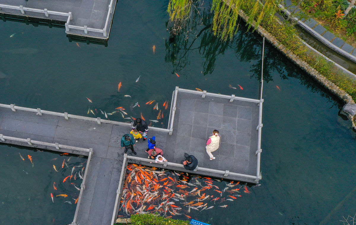 淳安育才学校2022年招生简章