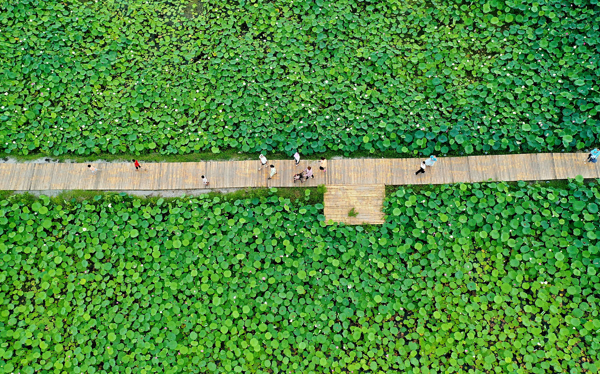 安徽现代信息工程职业学院单招药剂专业怎样