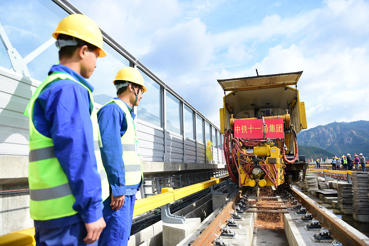 我的旅游管理职业规划：一个大一新生的展望
