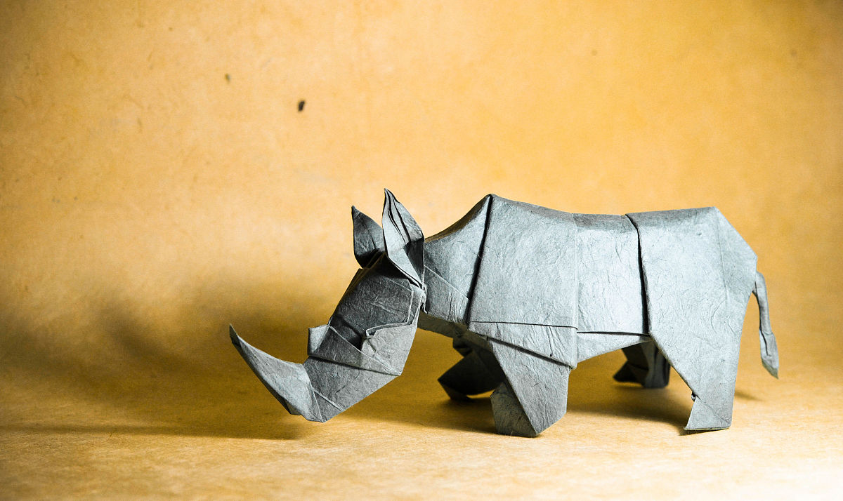 学生综合素质评价：爱好与特长 | 音乐、运动、旅游的魅力