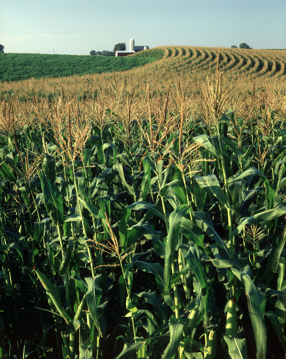 东北角的英文是什么？ - Northeast Corner 解释