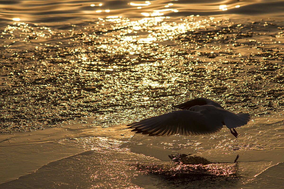 天津滨海职业学院电气自动化技术专业怎么样？优势、劣势及发展趋势