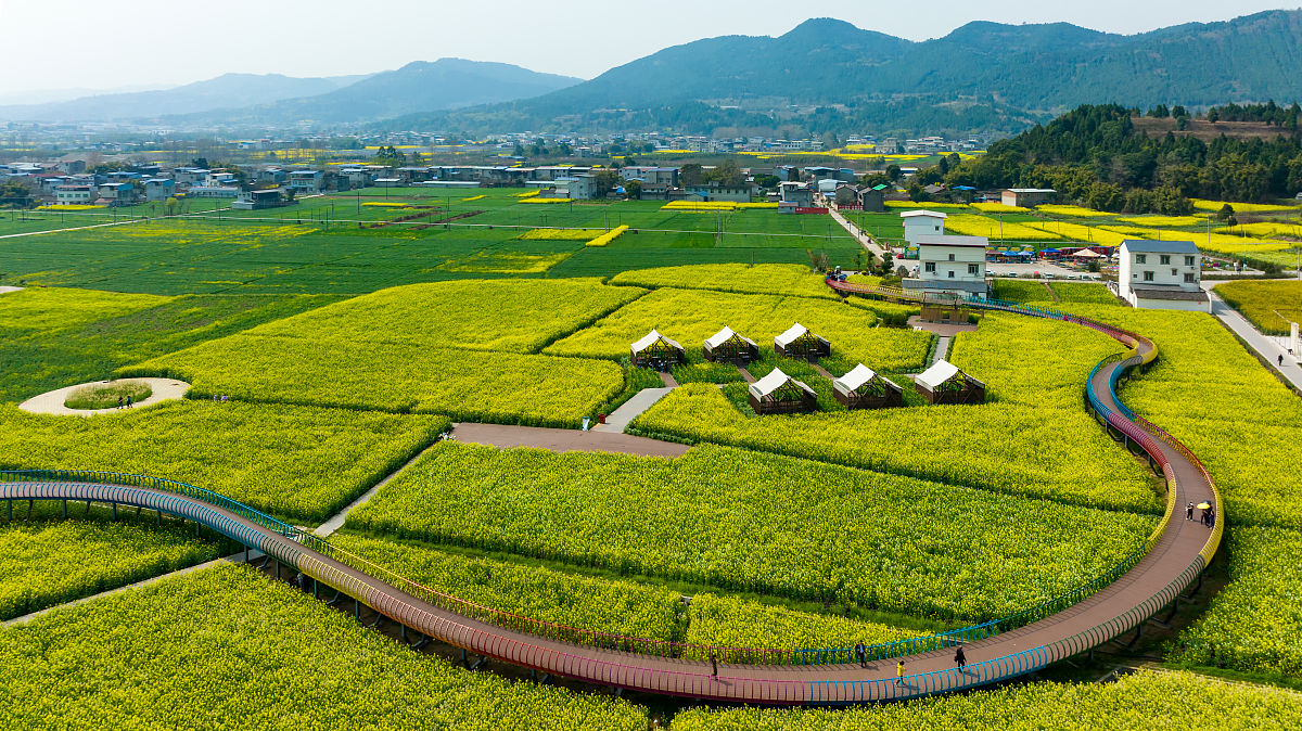 信阳乡村振兴产业发展“四个一批”工作方案