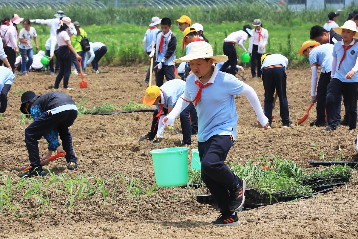 校外少先队课活动设计：体验劳动，拥抱未来 - 现代种植技术与劳动精神的学习