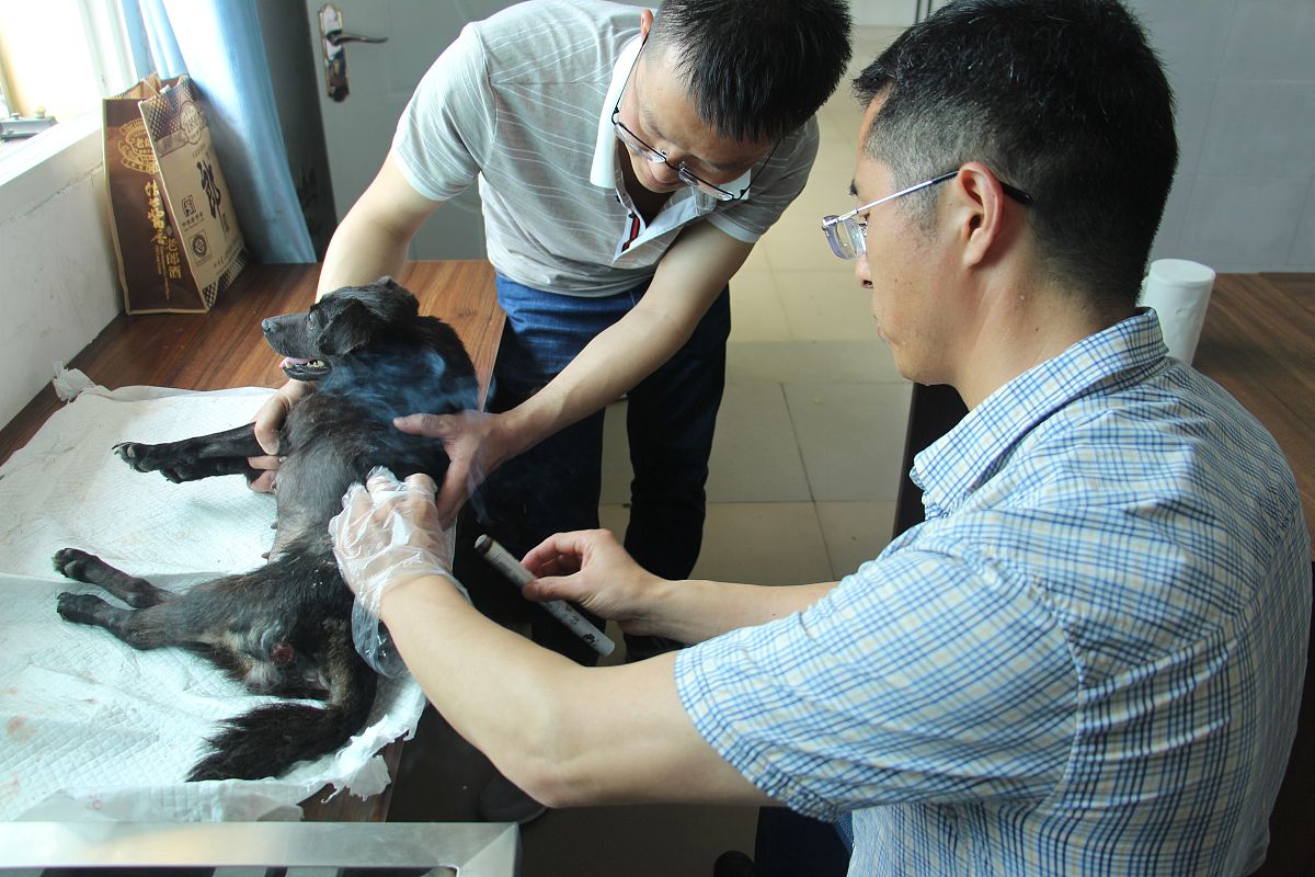 雅安职业技术学院针灸推拿(专科)专业介绍 - 2019招生