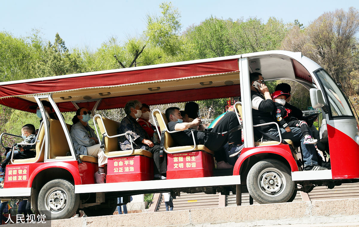 退休职工组团游览景点：小型车和中型车安排问题