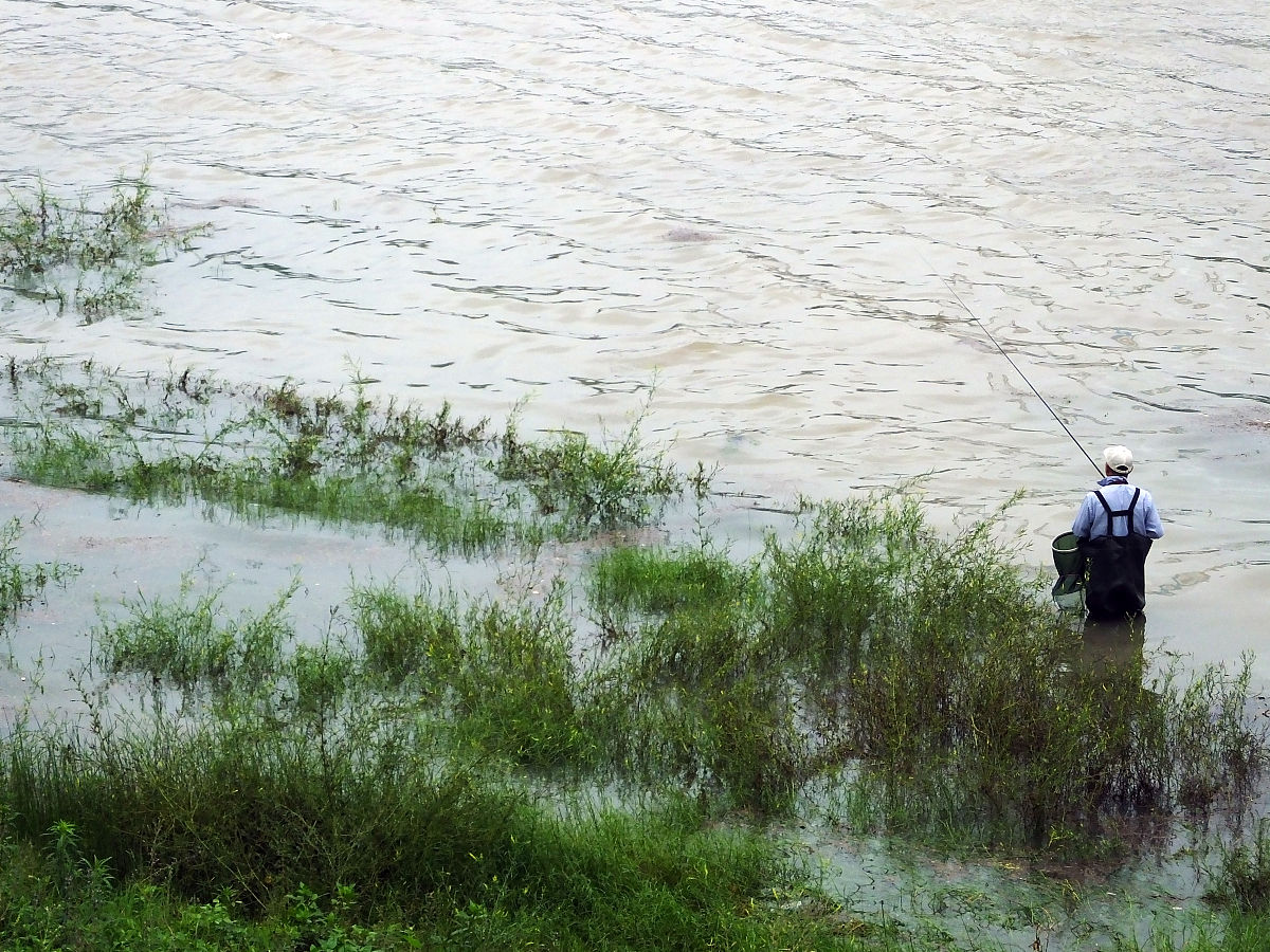 鄱阳湖水位下降对江西居民生活的影响 - 饮水、农业、生态及经济