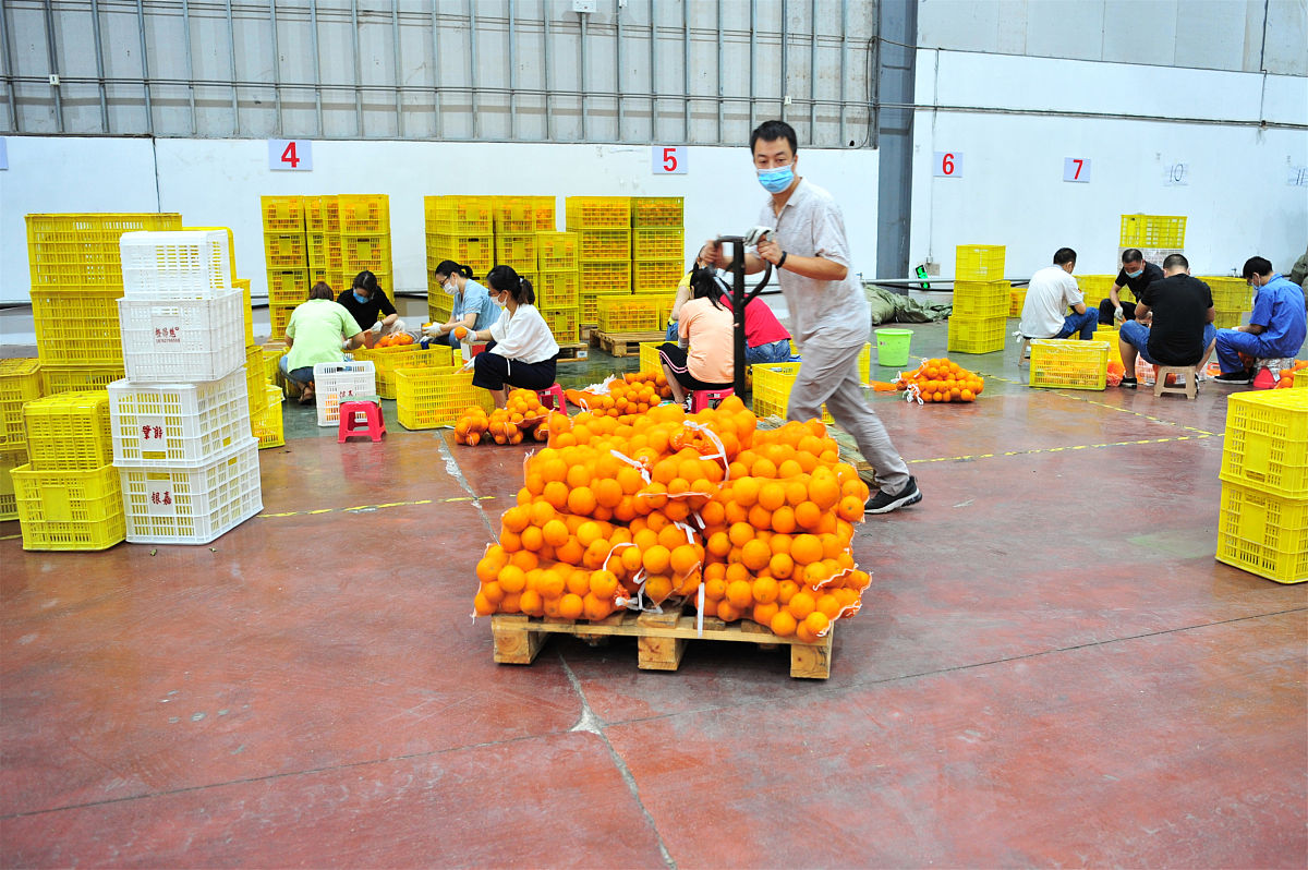 帮我伪原创一下：六、消费帮扶：1积极帮助该户联系客商协助销售所种沃柑预计年底年底销售沃柑收入XX元。