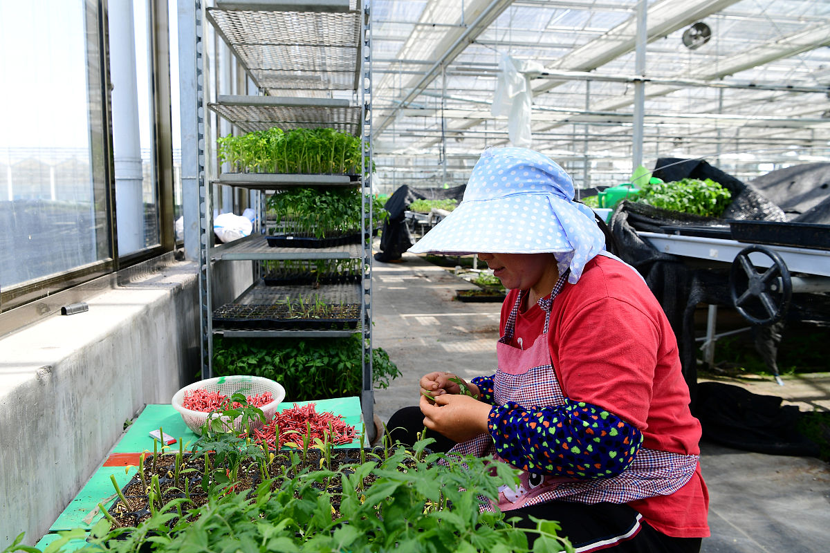 惠水中等职业学校果蔬花卉生产技术专业招生 | 2022年招生简章