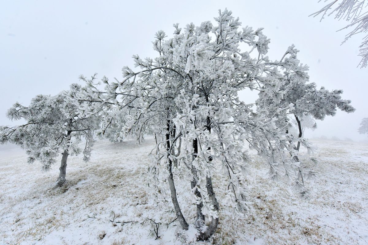2022年沿河土家族自治中等职业学校招生专业 - 高素质技能人才培养基地