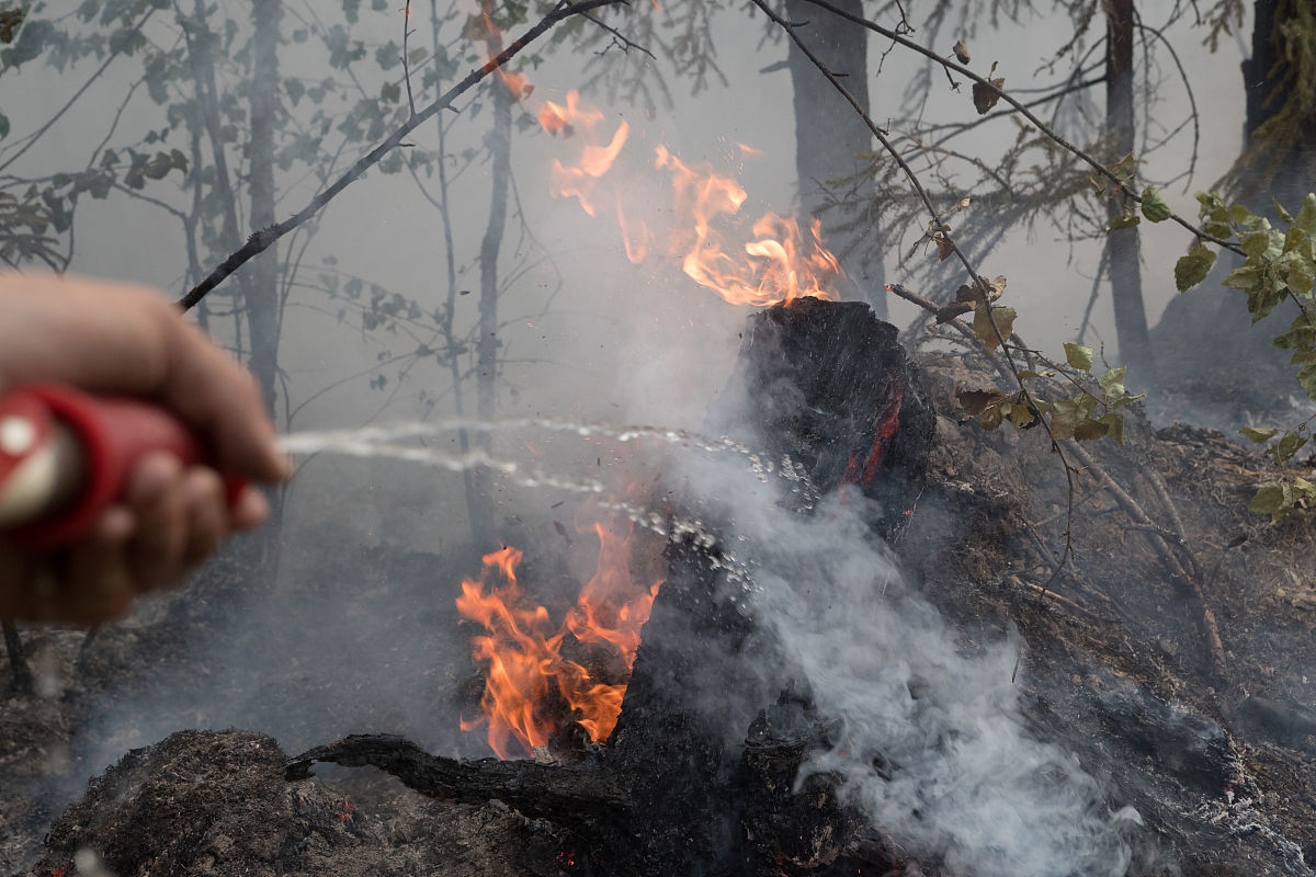PROCEEDINGS OF THE COMBUSTION INSTITUTE: 推动燃烧科学与技术发展的国际期刊